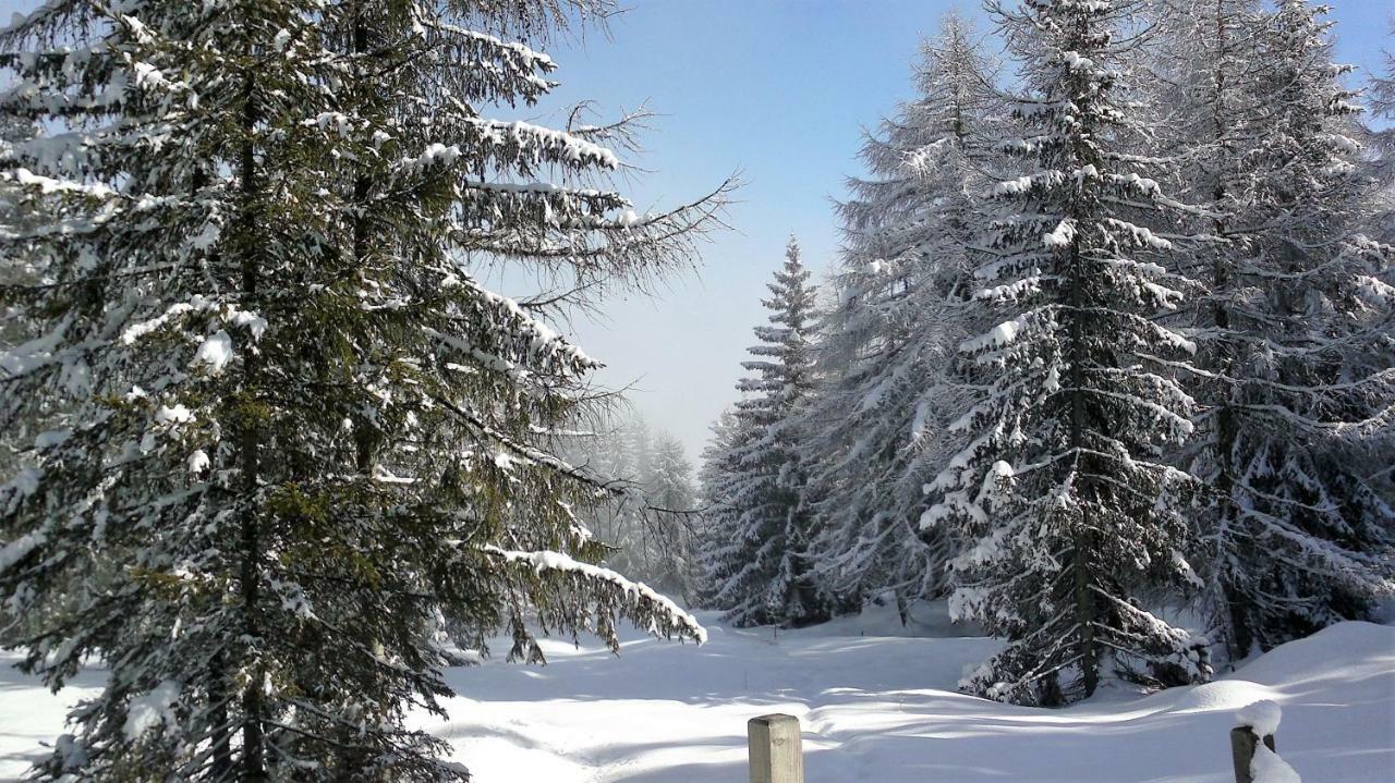 Ferienwohnung Dolomitenpanorama Oberlienz Экстерьер фото