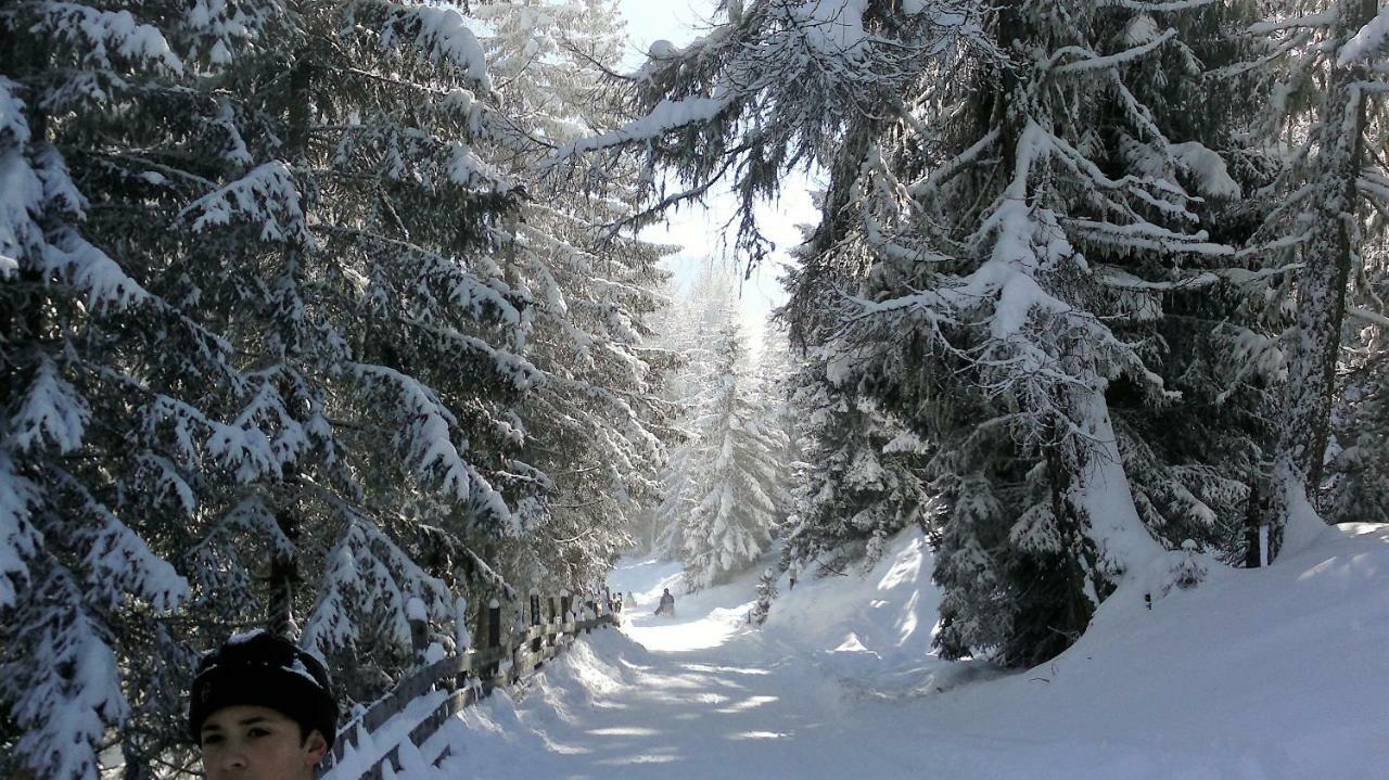 Ferienwohnung Dolomitenpanorama Oberlienz Экстерьер фото